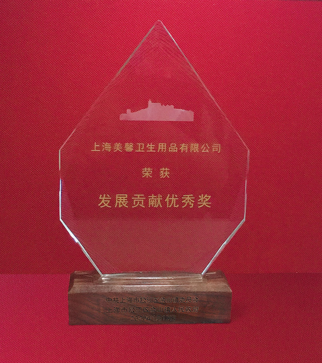 發(fā)展貢獻(xiàn)獎獎杯.jpg